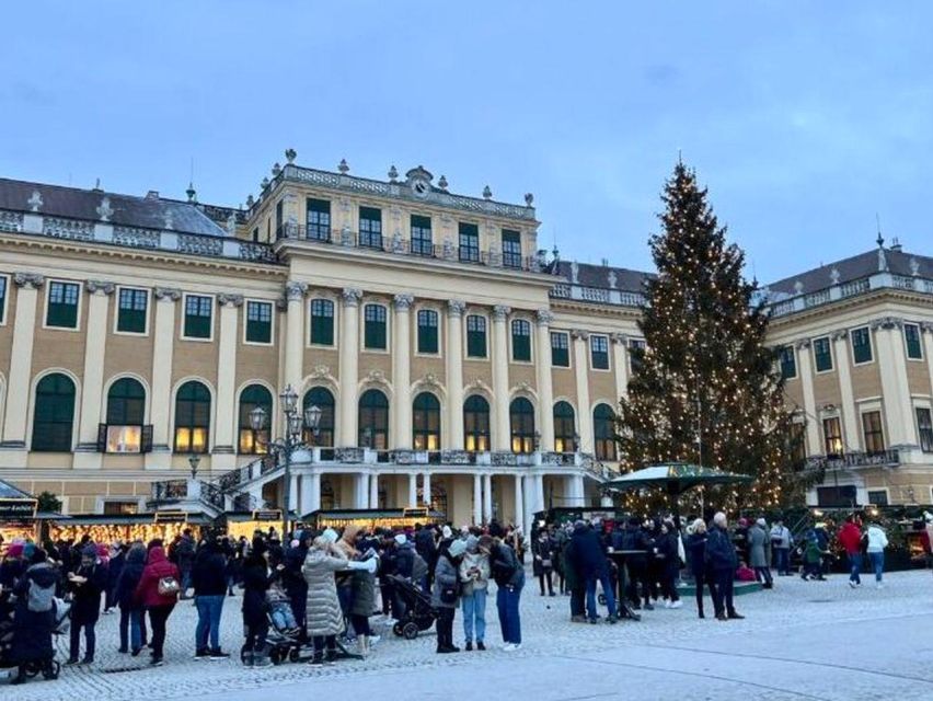 Vienna: Schönbrunn Palace & Christmas Market Walking Tour - Should You Book the Schönbrunn Palace Christmas Market Tour?