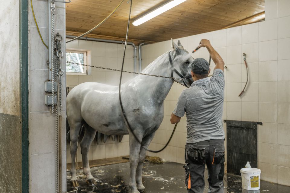 Vienna: Secrets of the Fiaker & Horse-Drawn Carriage Ride - FAQ