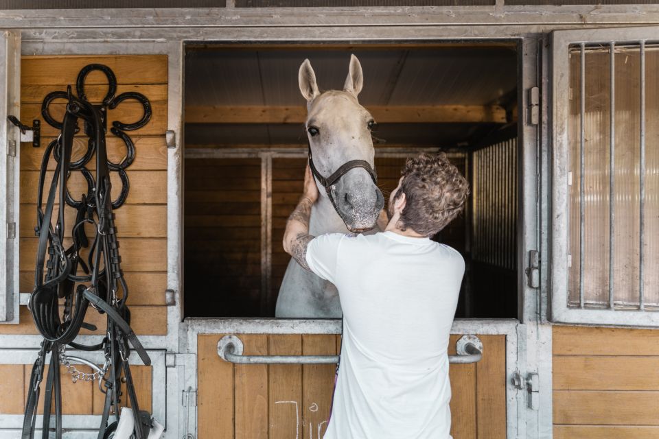 Vienna: Secrets of the Fiaker & Horse-Drawn Carriage Ride - Inside the stable tour: Lohnkutchen, coachman work, and horse welfare