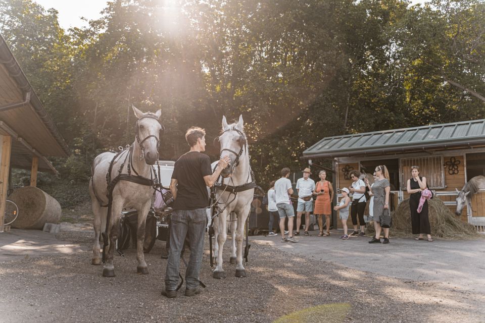 Vienna: Secrets of the Fiaker & Horse-Drawn Carriage Ride - Practical tips to make your ride smoother