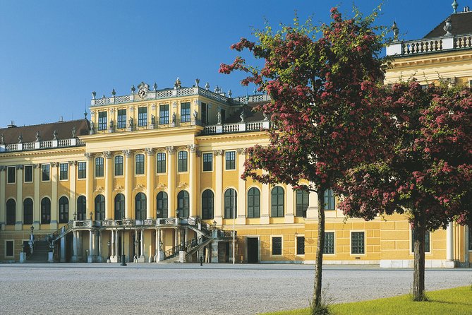Vienna: Skip the Line Schönbrunn Palace and Gardens Guided Tour - Why priority entry at Schönbrunn is worth paying for