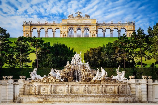 Vienna: Skip the Line Schönbrunn Palace and Gardens Guided Tour - Morning vs. afternoon: how to choose your best slot