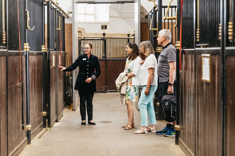 Vienna Spanish Riding School Guided Tour - Key Things You Should Notice During the Tour