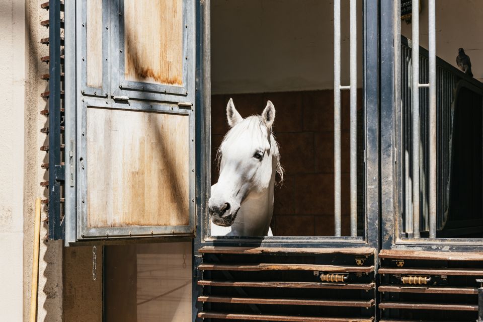 Vienna Spanish Riding School Guided Tour - FAQ