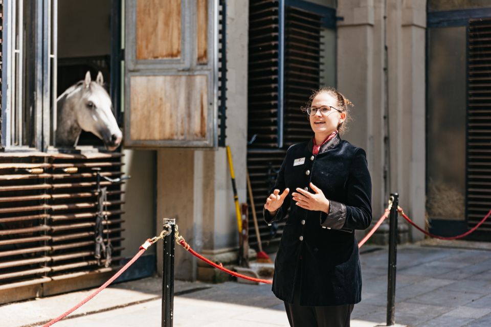 Vienna Spanish Riding School Guided Tour - Stallburg and the Renaissance Courtyard: Where History Feels Close
