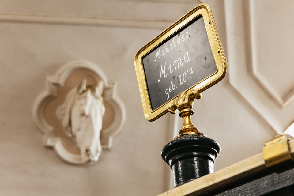 Vienna Spanish Riding School Guided Tour - Price and Value: Is $28 for 55 Minutes a Good Deal?