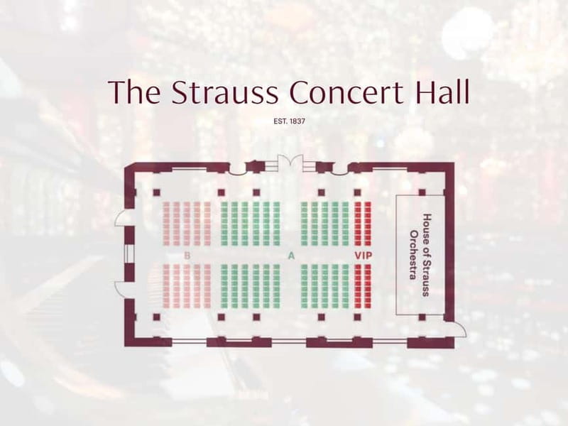 Vienna: Strauss Classical Concert with Soprano & Light Show - Why the Historic Hall Matters for Your Ears