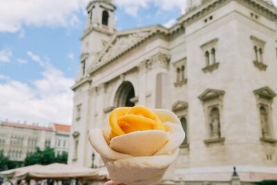 Vienna to Budapest - Private transfer with 2h of Sightseeing - What you’ll actually experience during pickup and the drive