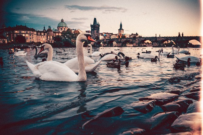 Vienna to Prague - Private Transfer with 2 hours of Sightseeing - Price and Value: Is $313.24 Per Person Fair for This Ride?