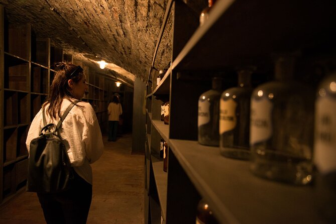 Vienna Underground Guided Walking Tour - Vienna Underground is for people who like old spaces