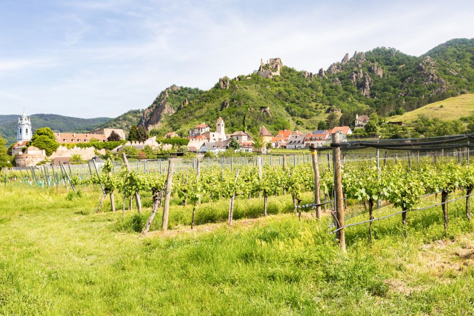 Vienna: Wachau Valley, Melk Abbey Tour with Danube Boat Trip - Melk Abbey: Baroque Mastery Plus Real Valley Views