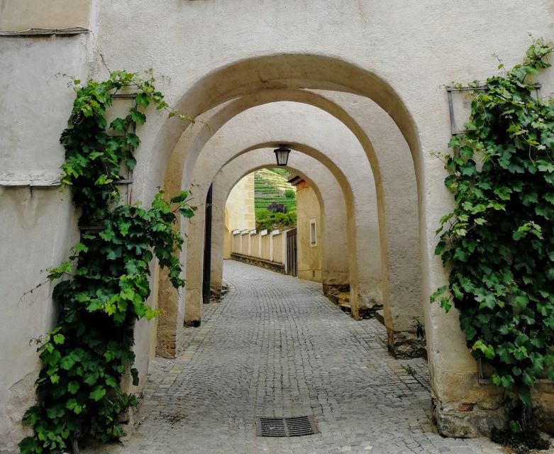 Vienna: Wachau Valley Private Kayak and Wine Tour - Who should book, and who should skip this kayaking requirement