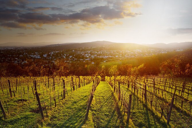 Vienna Wine Experience - The Guide Factor: WSET III Wine Talk That Feels Friendly