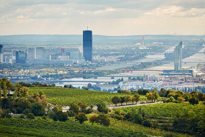 Vienna Wine Experience - More Than Sipping: Vineyards, Views, and a Light Wine Hike Feel