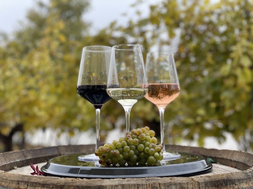 Vienna: Wine Tasting at Schönbrunn Palace - Key Points That Make This Tasting Worth Your Time