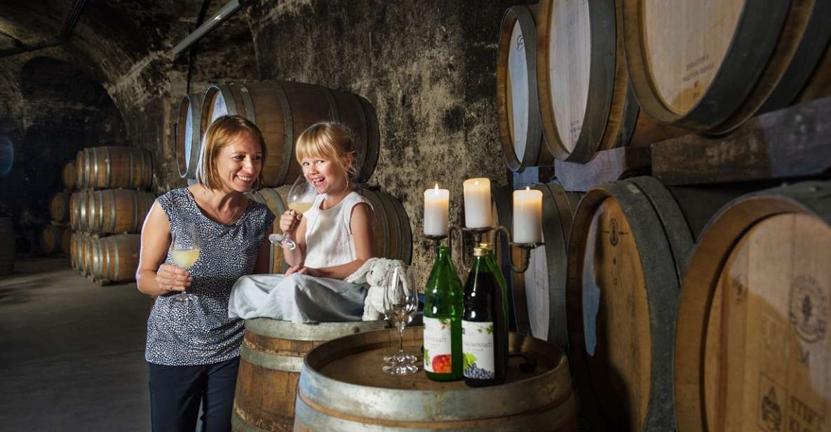 Vienna: Wine Tasting E-Bike Tour - Getting Started in Vienna: Landmarks Without the Time Tax