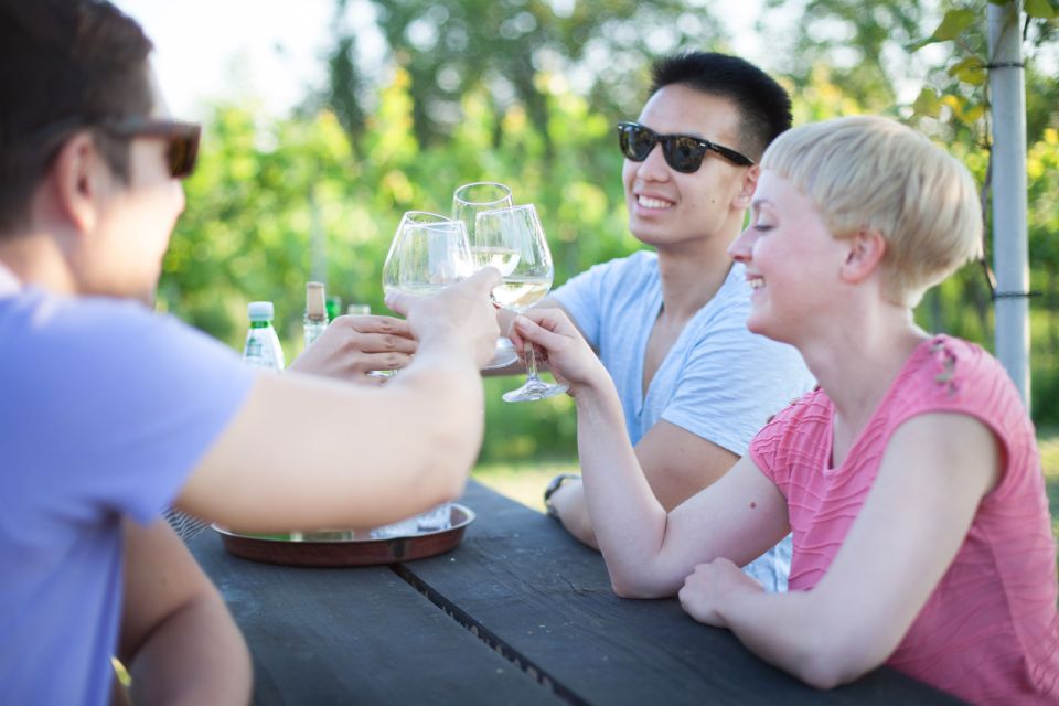 Vienna: Wine Tasting E-Bike Tour - Price and Value: What $111 Buys You (and What It Doesn’t)