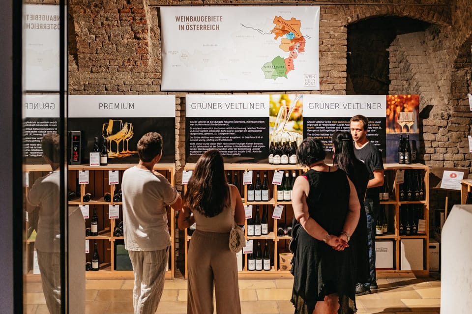 Vienna: Wine Tasting Experience in a Private Wine Cellar - What you’ll actually taste: three Austrian wines plus regional bites