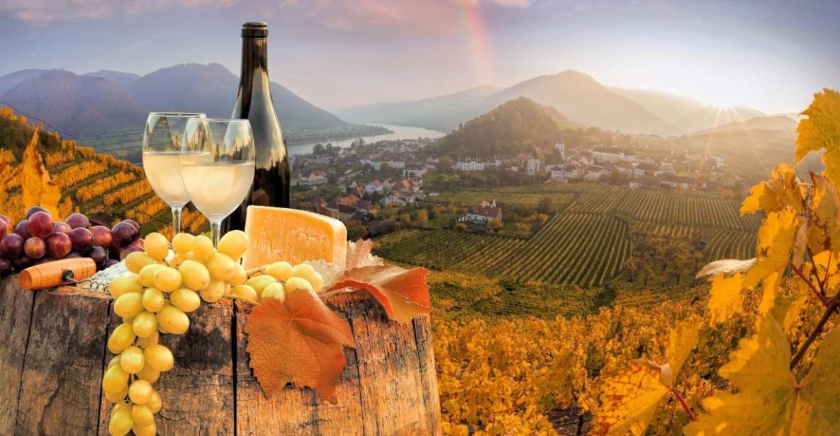 Vienna: Winery and Wine Tasting Tour with a Wine Expert - Key points at a glance