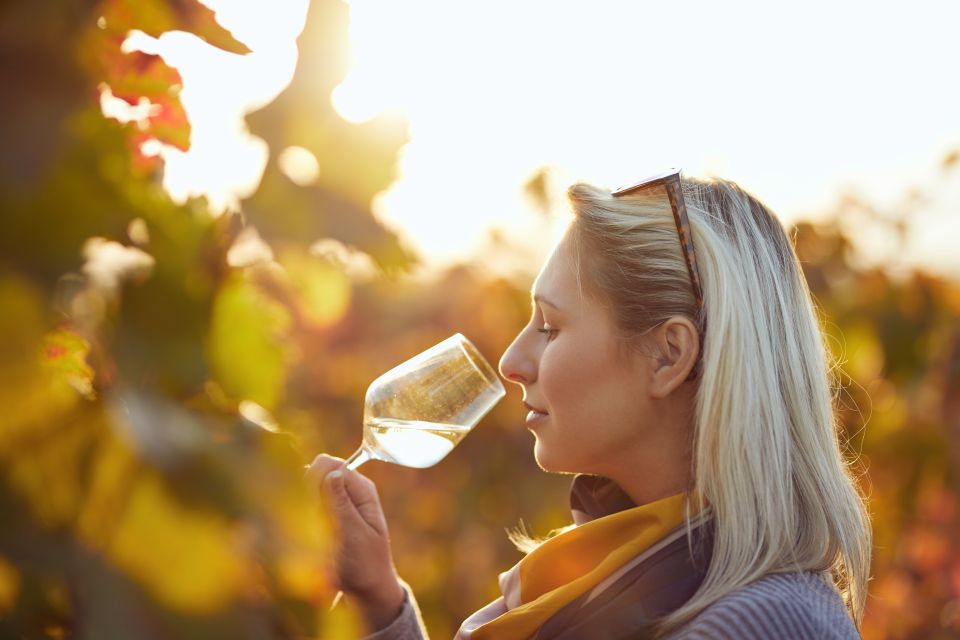 Vienna: Winery and Wine Tasting Tour with a Wine Expert - Inside the tasting: how the expert helps you actually taste Austrian wine