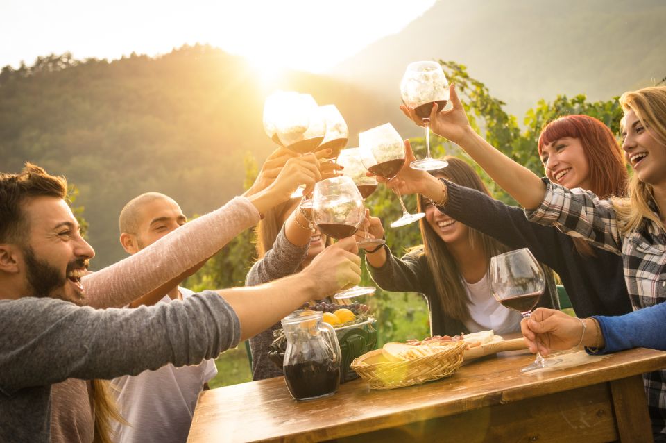 Vienna: Winery and Wine Tasting Tour with a Wine Expert - Vienna landmarks with your wine guide: Rathaus, National Theater, Hofburg