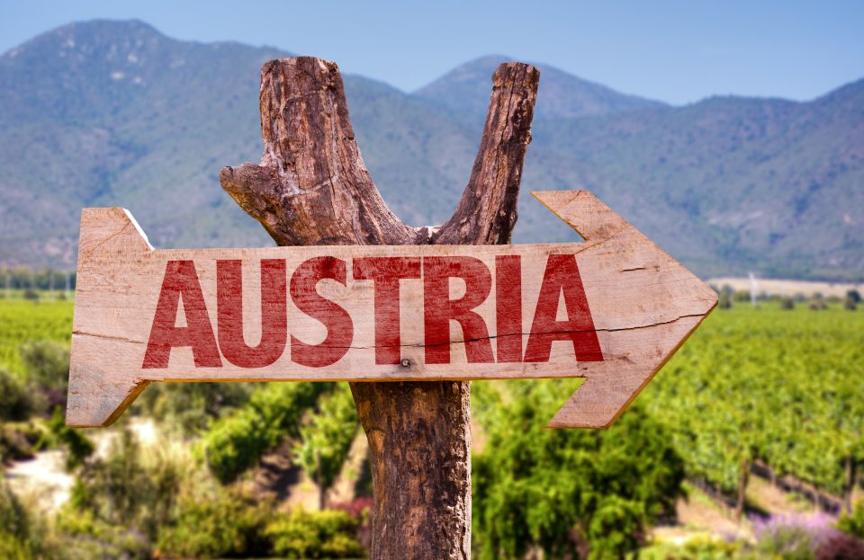 Vienna: Winery and Wine Tasting Tour with a Wine Expert - Price and value: is $309 per person actually fair?