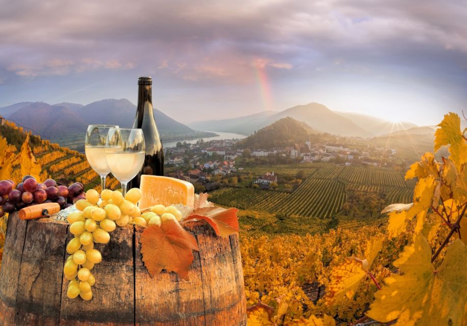 Vienna: Winery and Wine Tasting Tour with a Wine Expert - Who this tour suits best (and who should rethink it)