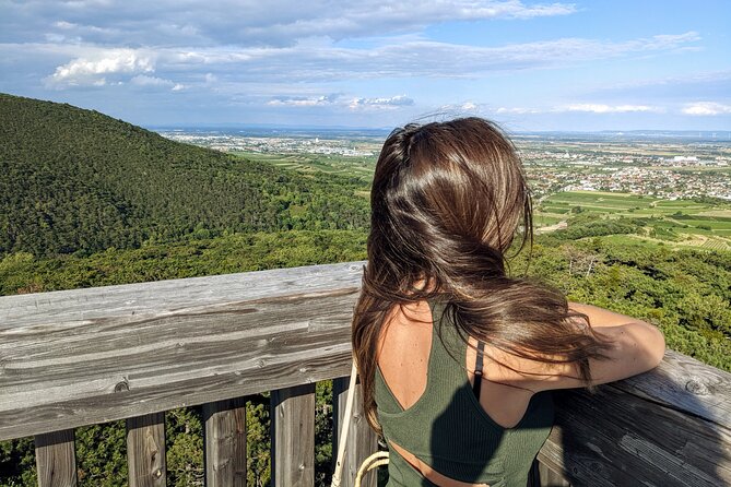Vienna Woods Wine Tour - Wines, Vines & Good Times! - Quick Hits
