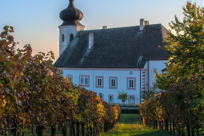 Vienna Woods Wine Tour - Wines, Vines & Good Times! - Price and Value: What You’re Actually Paying For