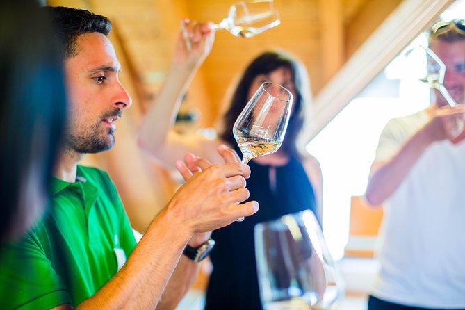 Wachau Valley Private Tour With Melk Abbey Visit and Wine Tastings from Vienna - Spitz to Melk Danube cruise: the summer payoff