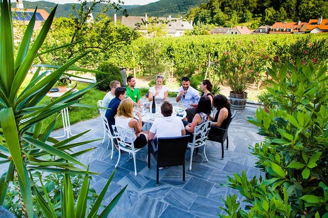 Wachau Valley Small-Group Tour and Wine Tasting from Vienna - Dürnstein: medieval streets, castle ruins, and a real story