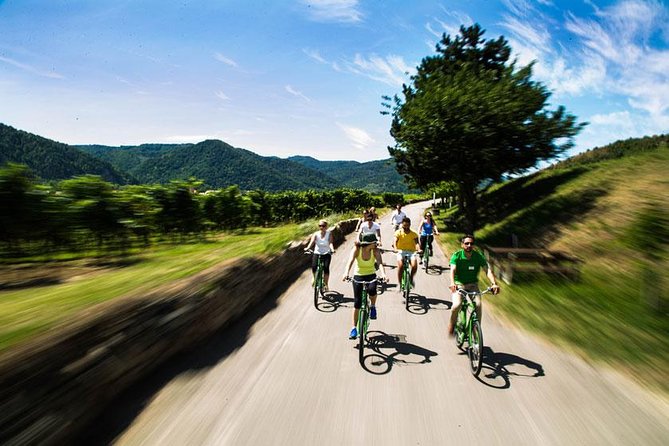 Wachau Valley Wine Tasting Bike Tour from Vienna - Price and Value at a Glance: What You Pay For