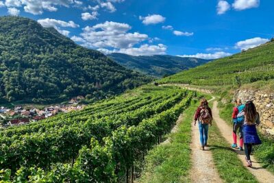 Wachau World Heritage Hike - Karin’s Style: Small Group Hiking With Real Attention