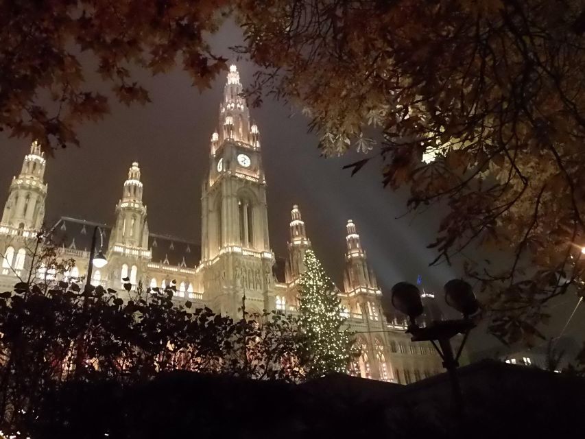 Wien: Tour with locals on the trails of the Christmas Tree - Key points to know before you go