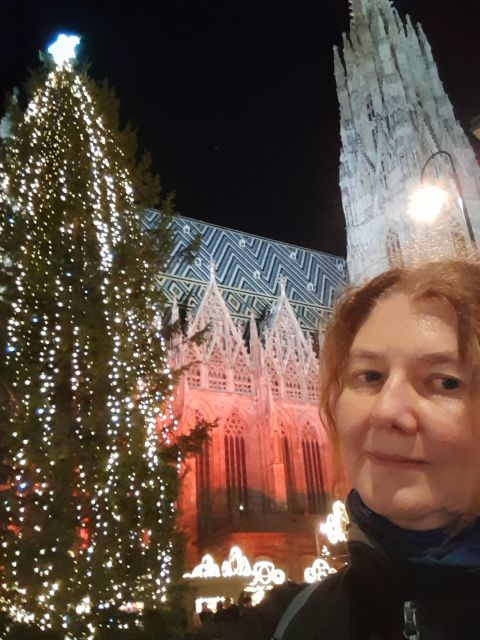 Wien: Tour with locals on the trails of the Christmas Tree - Albertina Museum Stop: Art, Symbols, and Time