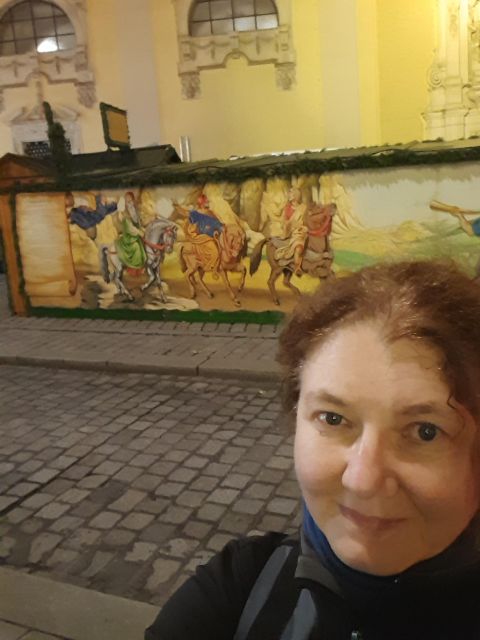 Wien: Tour with locals on the trails of the Christmas Tree - Rathausplatz and the Urban Holiday Mood