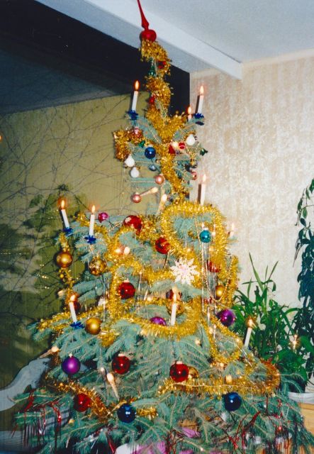 Wien: Tour with locals on the trails of the Christmas Tree - Price and Value: Is $62 Worth Two Hours?