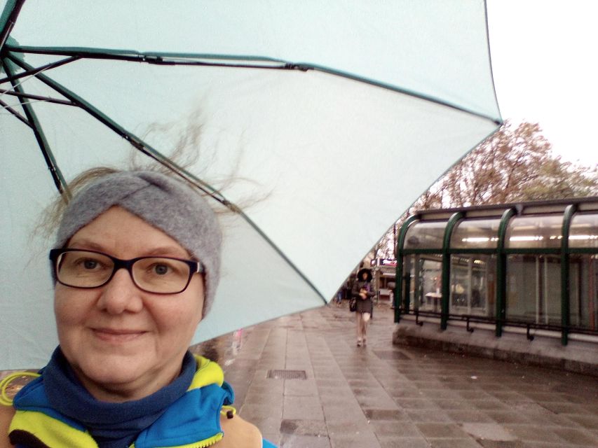 Wien: Tours with locals by public transport & walking - Belvedere and Schönbrunn: Two Big Palaces, One Coherent Day