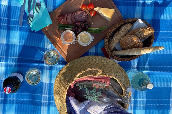 Wine Picknick overlocking vienna - Stop 1 in Vienna: where the tour begins and why it helps